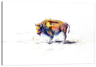 Buffalo Animal Canvas Art Print - Kim Guthrie