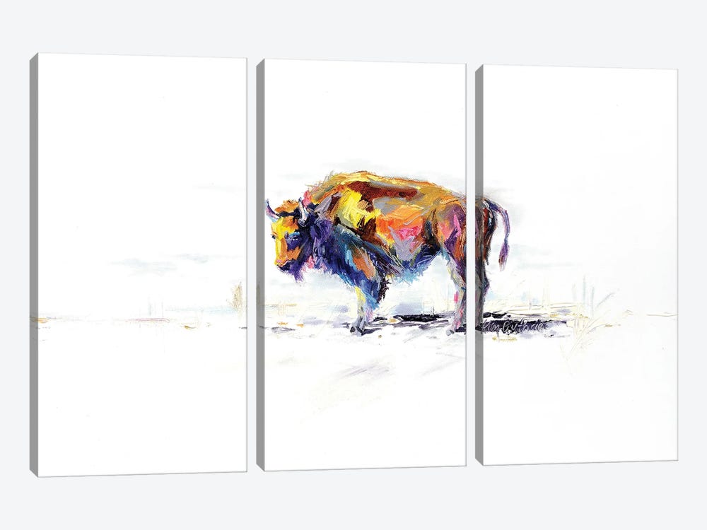Buffalo Animal by Kim Guthrie 3-piece Canvas Wall Art