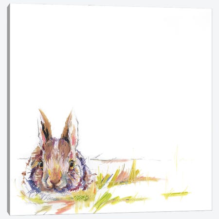 Bunny Canvas Print #KGU38} by Kim Guthrie Art Print