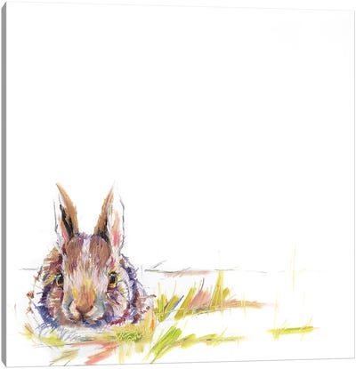 Bunny Canvas Art Print - Kim Guthrie