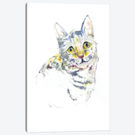 Kitty Cat Portrait Canvas Print #KGU40} by Kim Guthrie Canvas Artwork