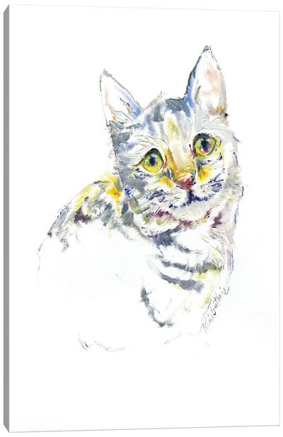 Kitty Cat Portrait Canvas Art Print - Kim Guthrie