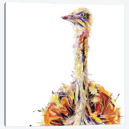 Ostrich Bird Oil Canvas Print #KGU47} by Kim Guthrie Art Print