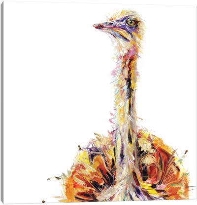 Ostrich Bird Oil Canvas Art Print - Kim Guthrie
