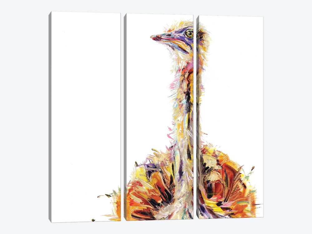 Ostrich Bird Oil by Kim Guthrie 3-piece Canvas Artwork