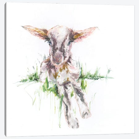 Baby Goat Oil Canvas Print #KGU56} by Kim Guthrie Canvas Artwork