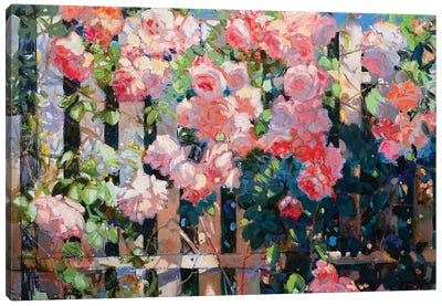Rose Garden Canvas Art Print - Rose Art