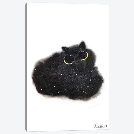Sparkly Black Cat Canvas Print #KHK103} by Kalleidoscape Design Art Print
