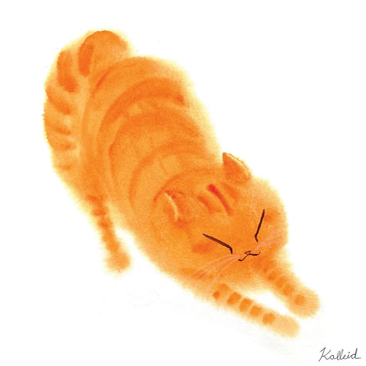 Stretchy Orange Cat