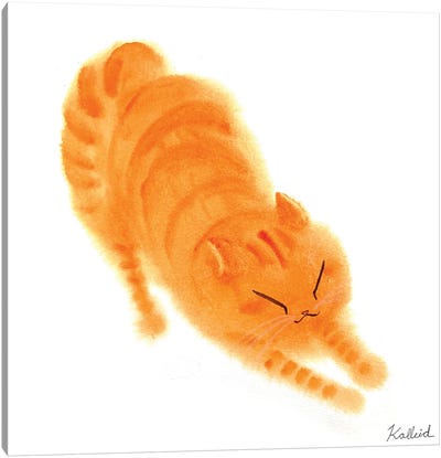Stretchy Orange Cat Canvas Art Print - Kalleidoscape Design