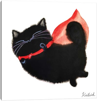 Super Cat Canvas Art Print - Kalleidoscape Design