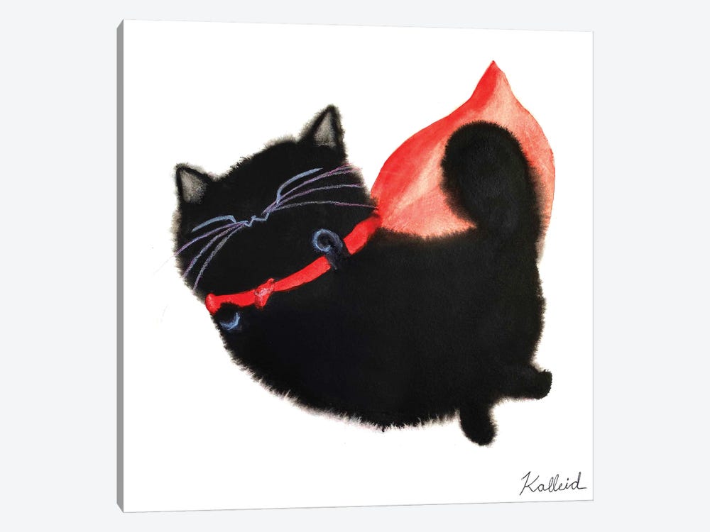 Super Cat by Kalleidoscape Design 1-piece Canvas Art