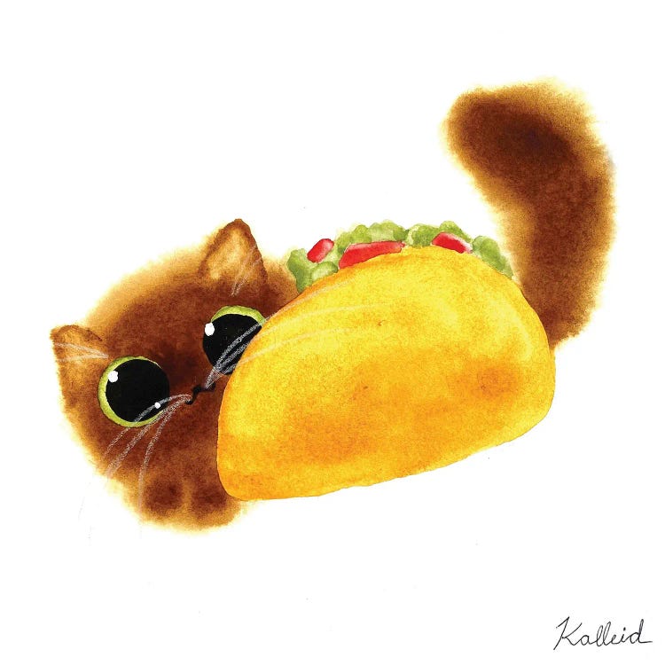 Taco Cat