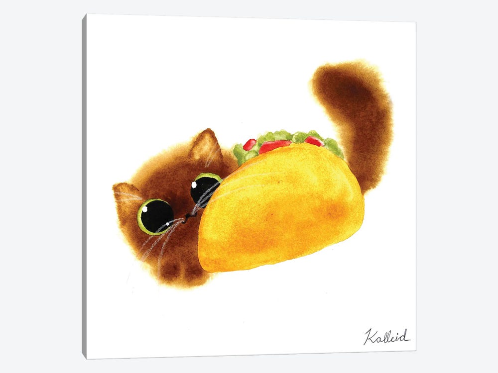 Taco Cat by Kalleidoscape Design 1-piece Canvas Wall Art