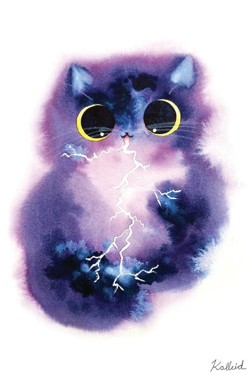 Thunderstorm Cat