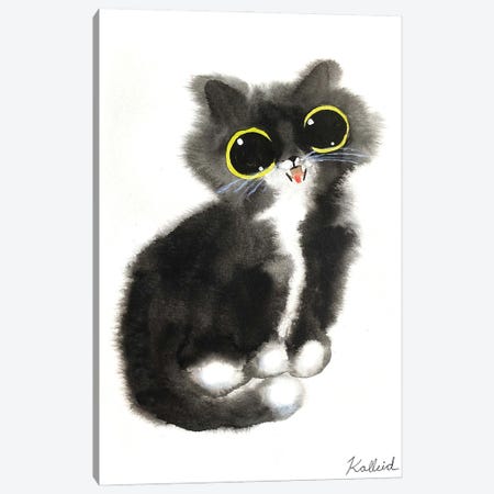 Tuxedo Cat Canvas Print #KHK120} by Kalleidoscape Design Canvas Art Print