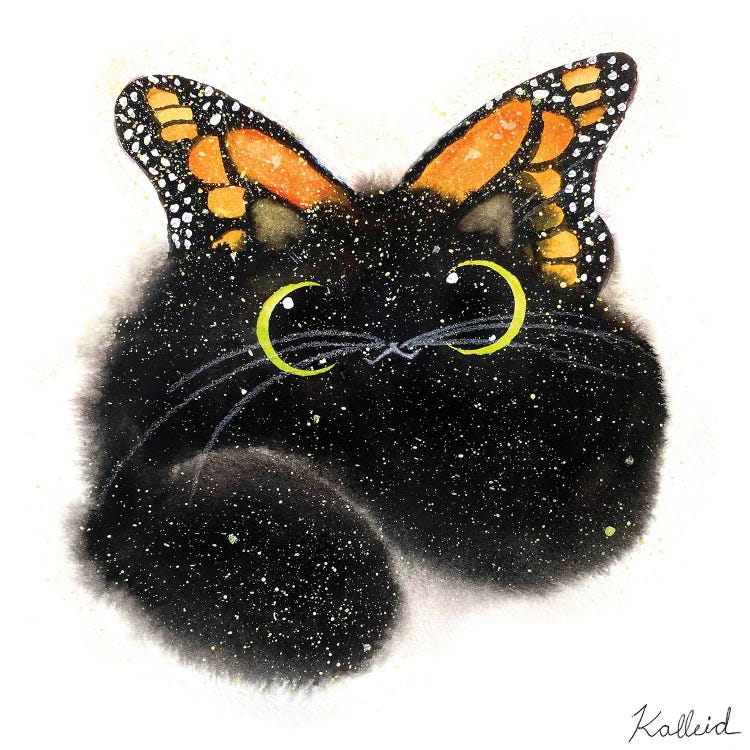 Butterfly Cat