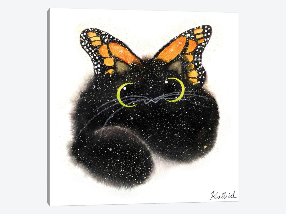Butterfly Cat by Kalleidoscape Design 1-piece Canvas Wall Art