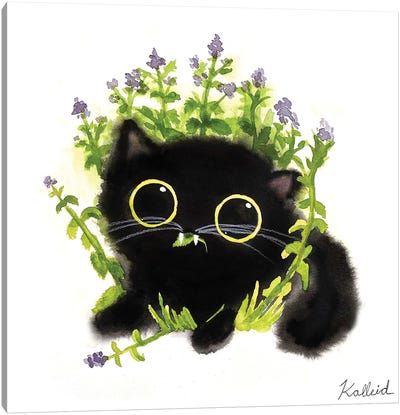 Catnip Cat Canvas Art Print - Herb Art