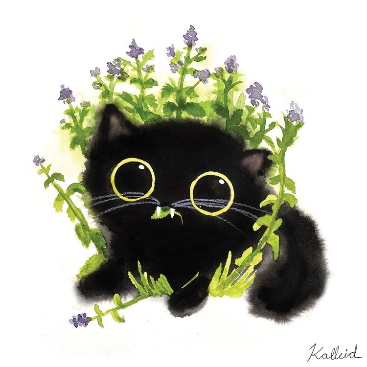 Catnip Cat