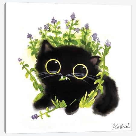 Catnip Cat Canvas Print #KHK26} by Kalleidoscape Design Art Print