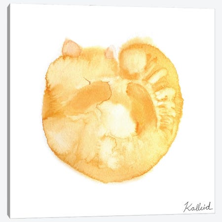 Cream Curly Cat Canvas Print #KHK35} by Kalleidoscape Design Canvas Art