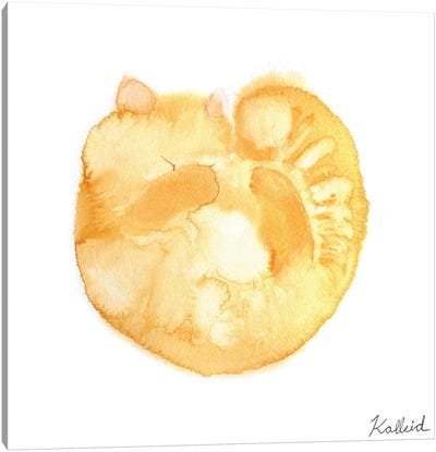 Cream Curly Cat Canvas Art Print - Kalleidoscape Design