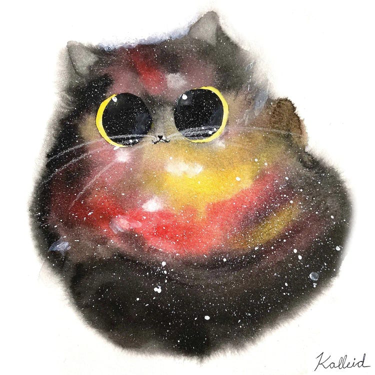 Galaxy Cat