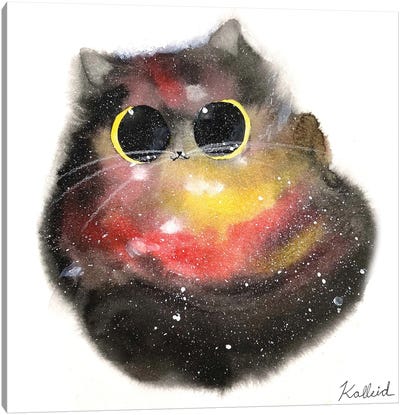 Galaxy Cat Canvas Art Print - Kalleidoscape Design