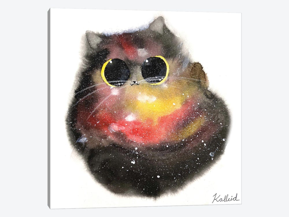 Galaxy Cat by Kalleidoscape Design 1-piece Canvas Art