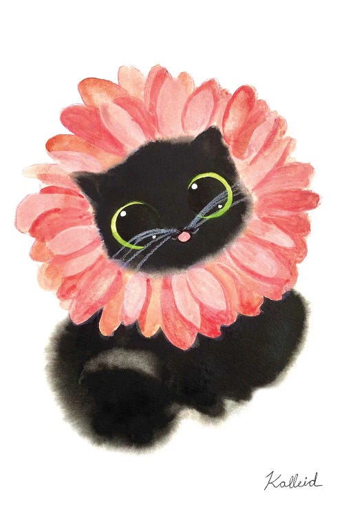 Gerbera Daisy Cat