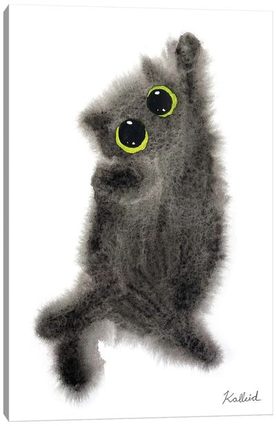 Gray Cat Canvas Art Print - Kalleidoscape Design