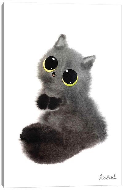 Grey Kitten Canvas Art Print - Kalleidoscape Design