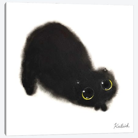 Laying Black Cat Canvas Print #KHK65} by Kalleidoscape Design Canvas Print