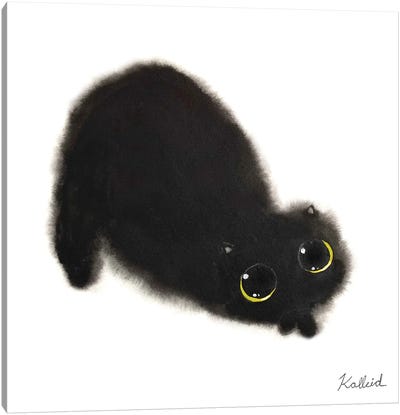 Laying Black Cat Canvas Art Print - Kalleidoscape Design