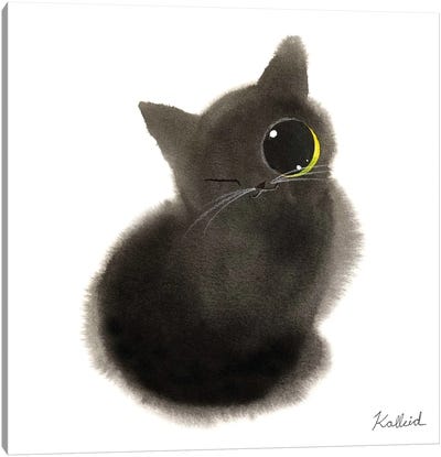 One Eyed Kitty Canvas Art Print - Kalleidoscape Design