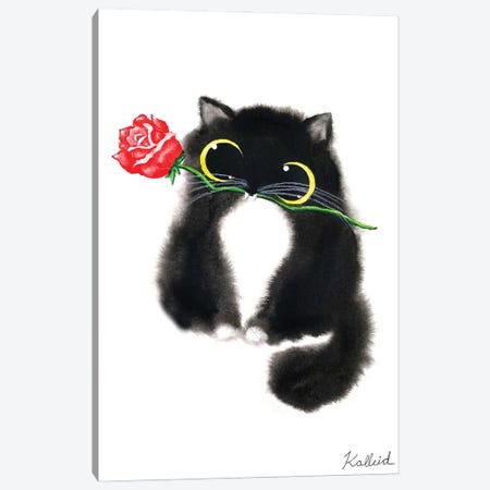 Rose Tuxedo Cat Canvas Print #KHK90} by Kalleidoscape Design Art Print