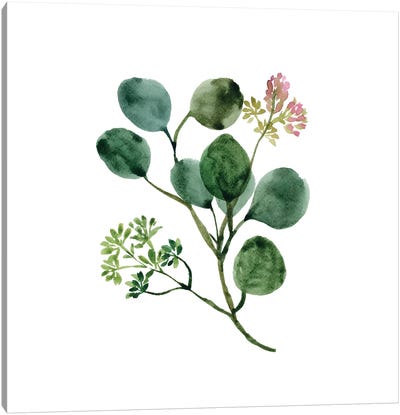 Watercolor Eucalyptus Floral Canvas Art Print - Minimalist Flowers