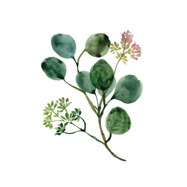 Minimalist Flowers: Watercolor Eucalyptus Floral by Kharin Hanes
