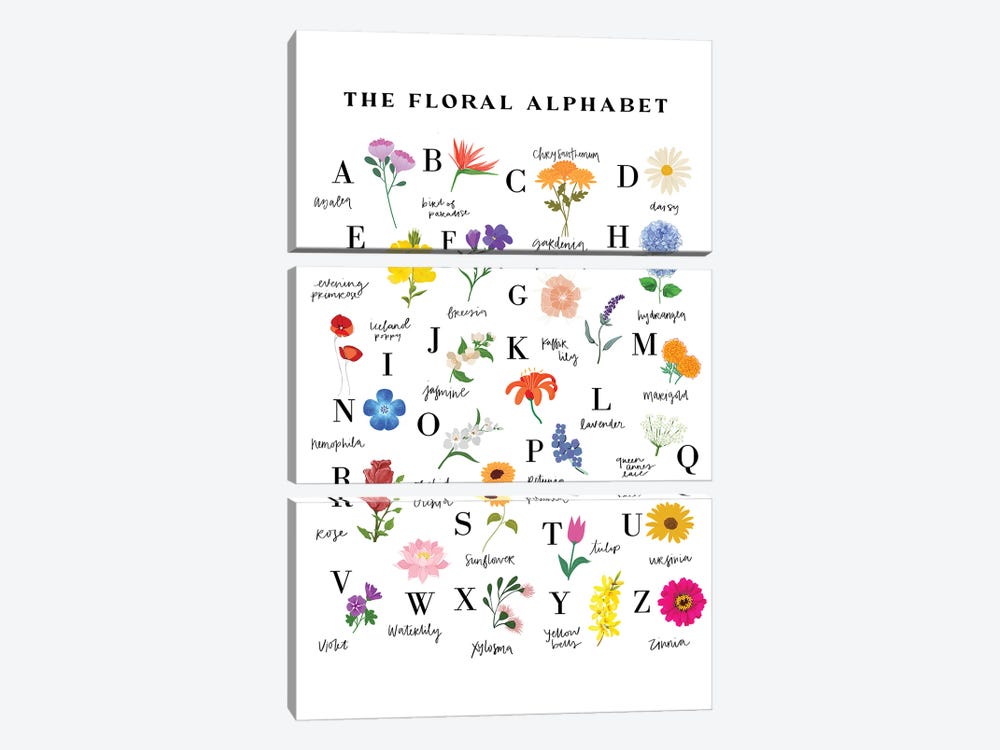 The Floral Alphabet by Kharin Hanes 3-piece Art Print