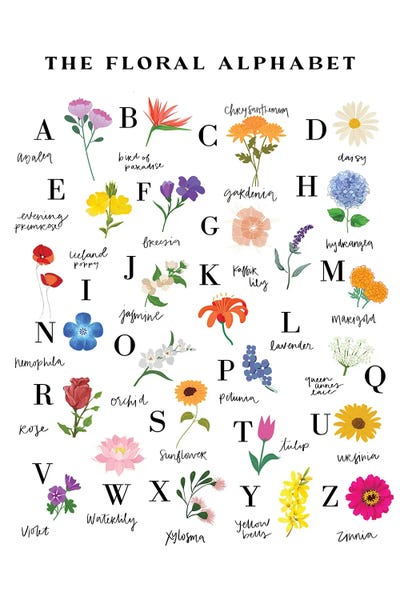 Alphabet: The Floral Alphabet by Kharin Hanes