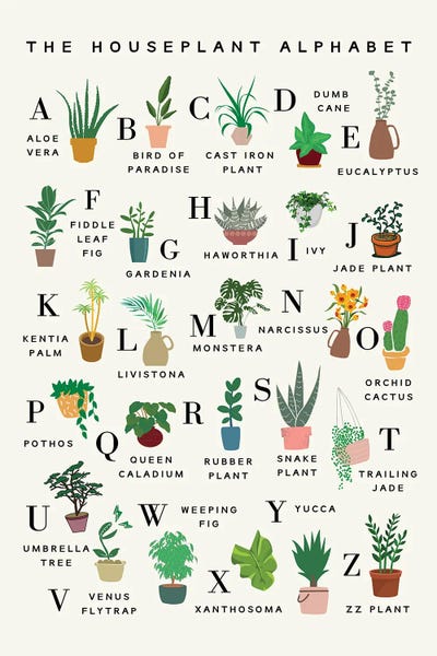 The Houseplant Alphabet by Kharin Hanes multi panel art
