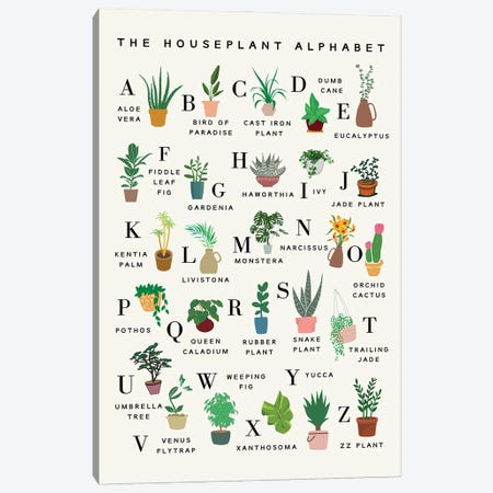 The Houseplant Alphabet Canvas Print #KHN38} by Kharin Hanes Canvas Art
