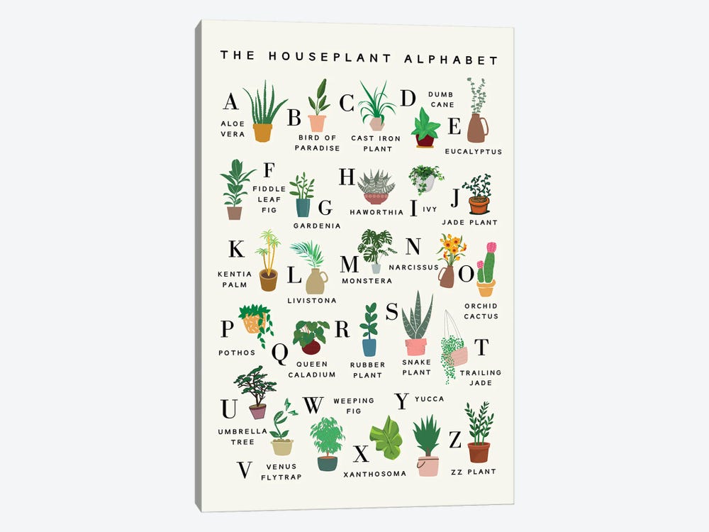 The Houseplant Alphabet by Kharin Hanes 1-piece Canvas Print