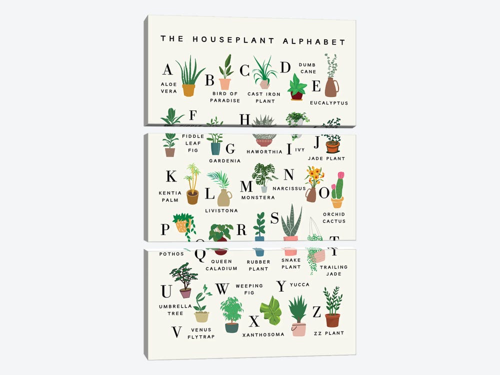 The Houseplant Alphabet by Kharin Hanes 3-piece Canvas Print