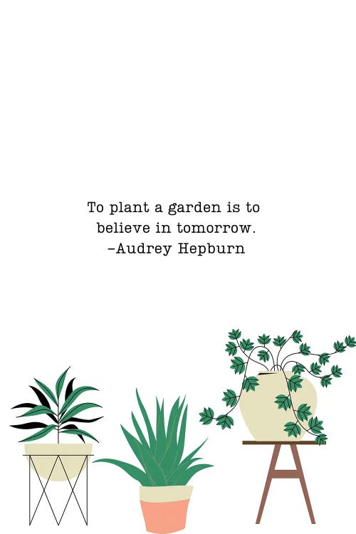 To Plant A Garden