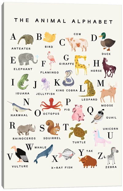 The Animal Alphabet Canvas Art Print - Alphabet Art