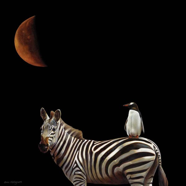 Zebras: Pilgrimage by Karen Hollingsworth