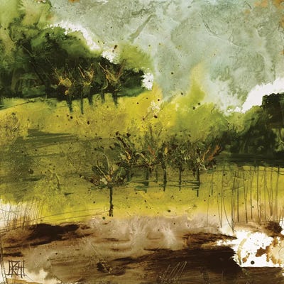 Griffith Park I by Kelsey Hochstatter framed wall art