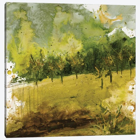 Griffith Park II Canvas Print #KHS33} by Kelsey Hochstatter Art Print